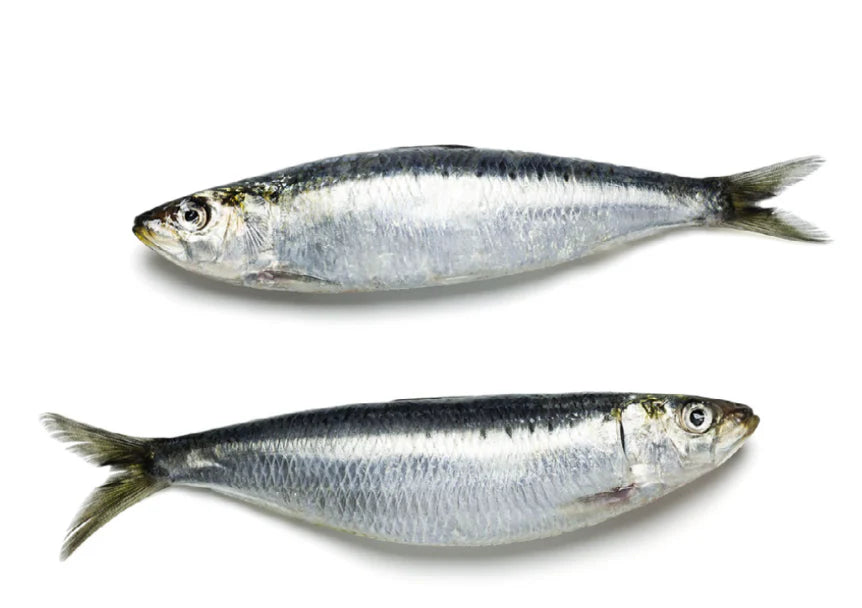 SARDEEN SALTED FISH PRICE PER - 1LB